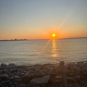 Meet your Posher, Molly